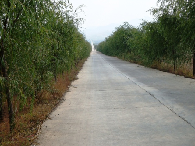 去镇边堡的水泥路