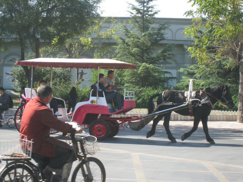 还有这种马车.JPG