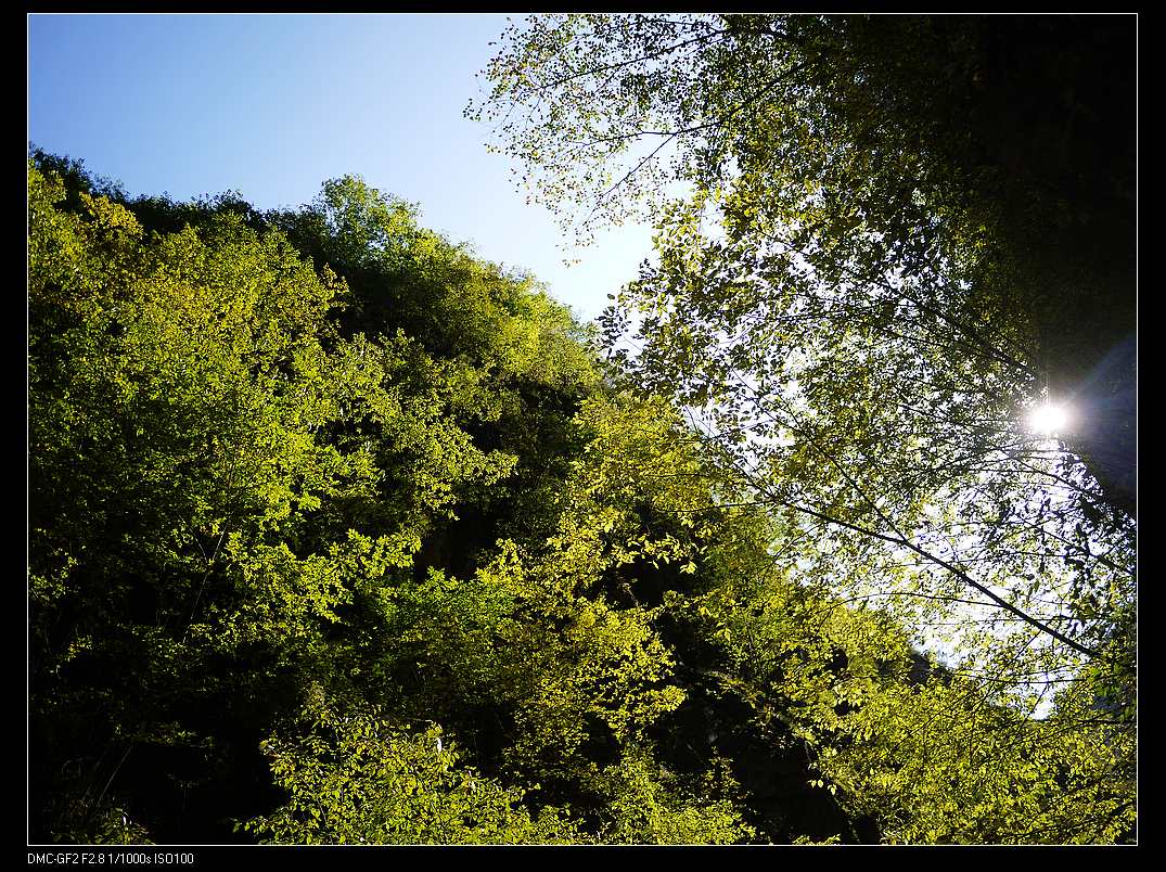 喜欢这种通透的颜色