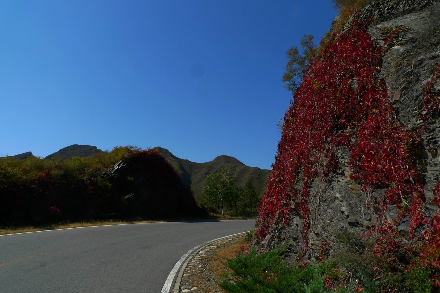 调整大小 调整大小 P1070616.JPG