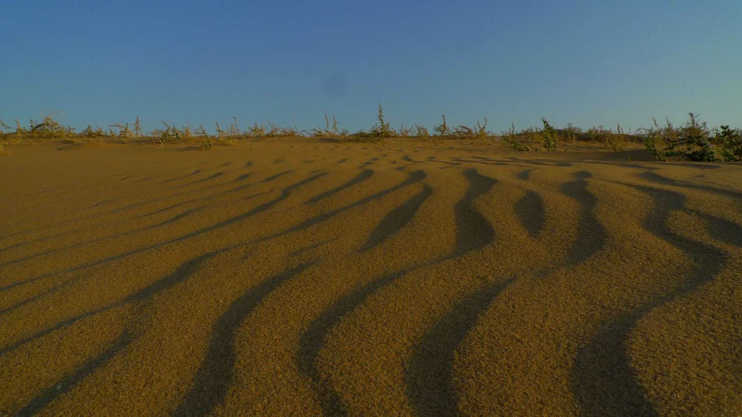 调整大小 调整大小 P1070690.JPG