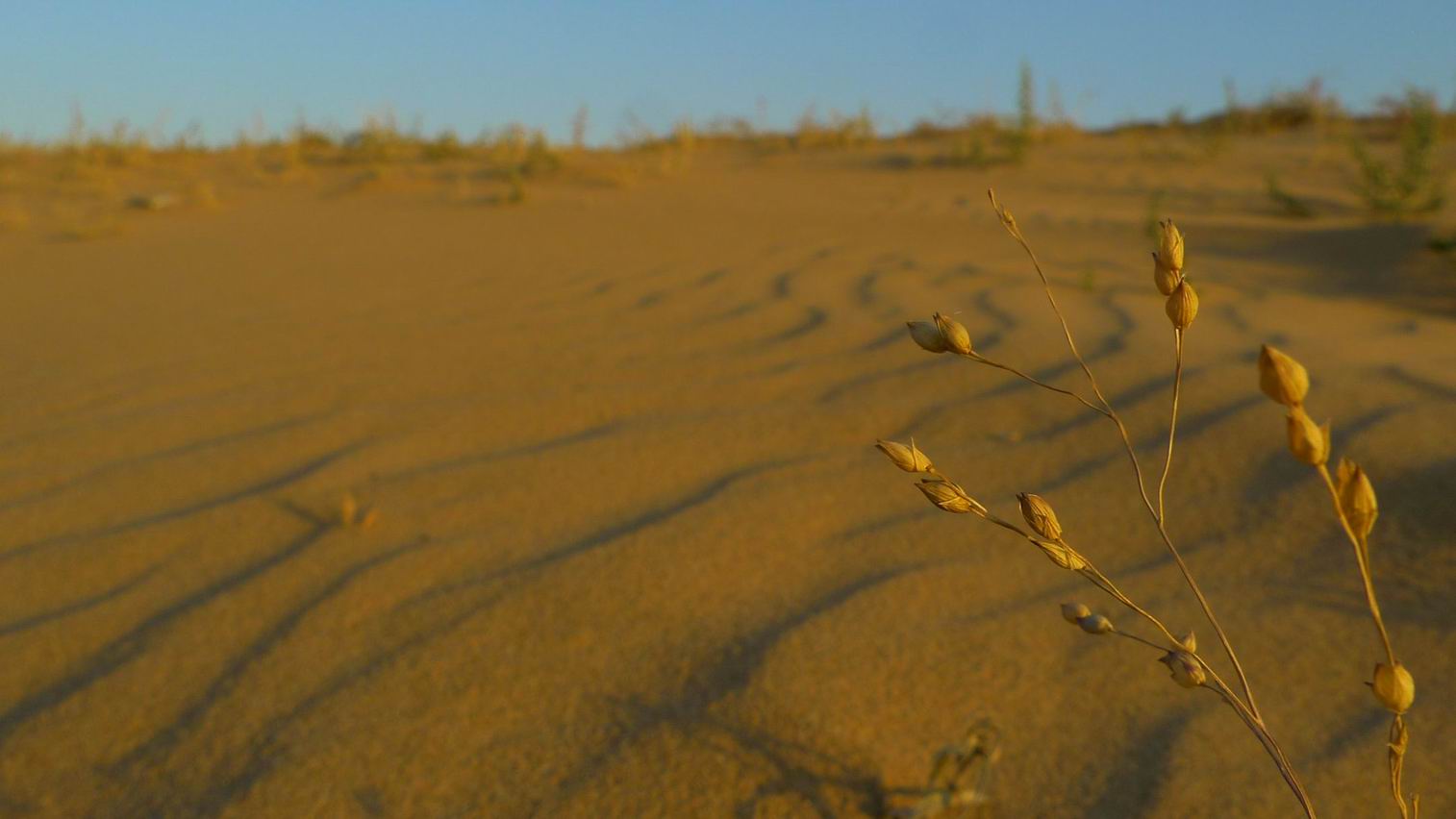 调整大小 调整大小 P1070692.JPG