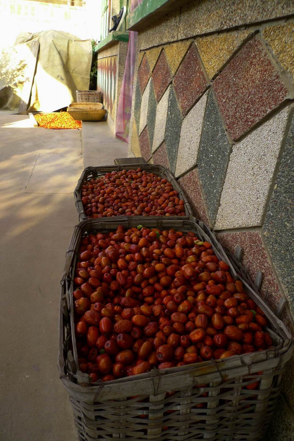 农家院里的枣子