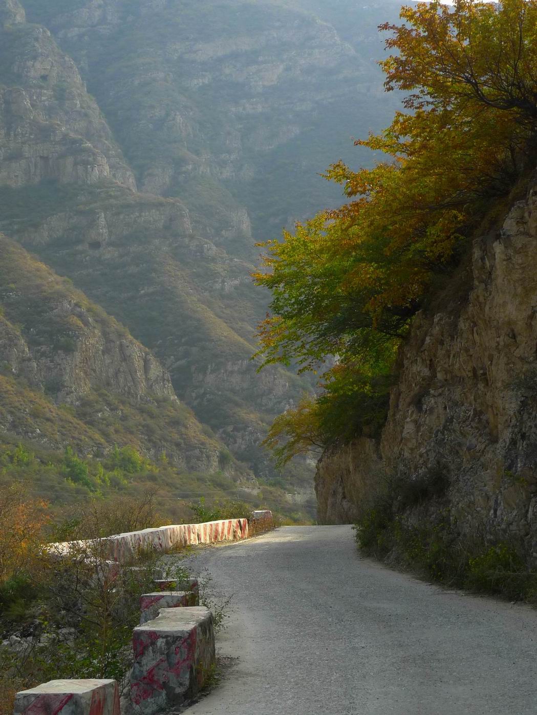 调整大小 调整大小 P1070733.JPG