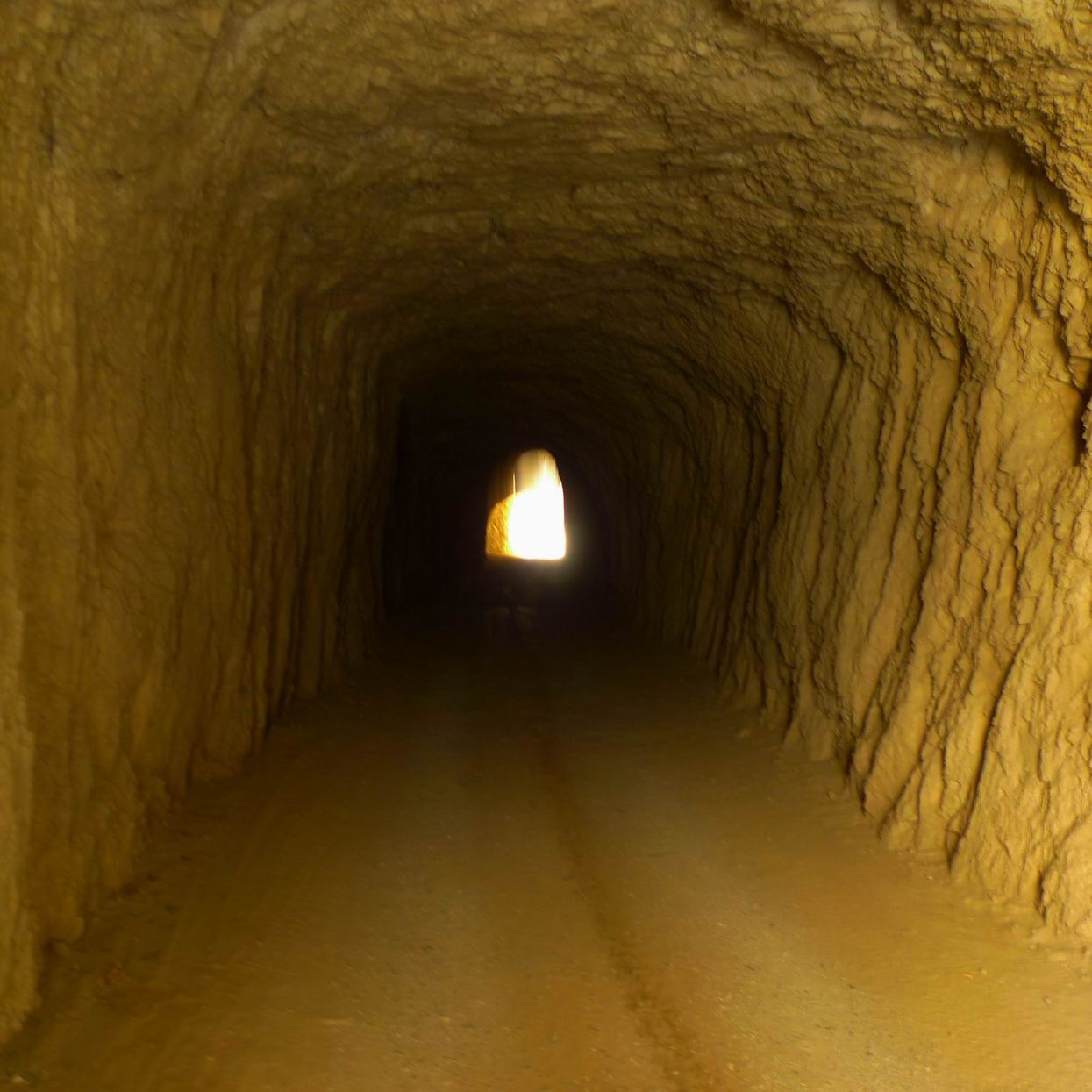 调整大小 调整大小 P1070736.JPG