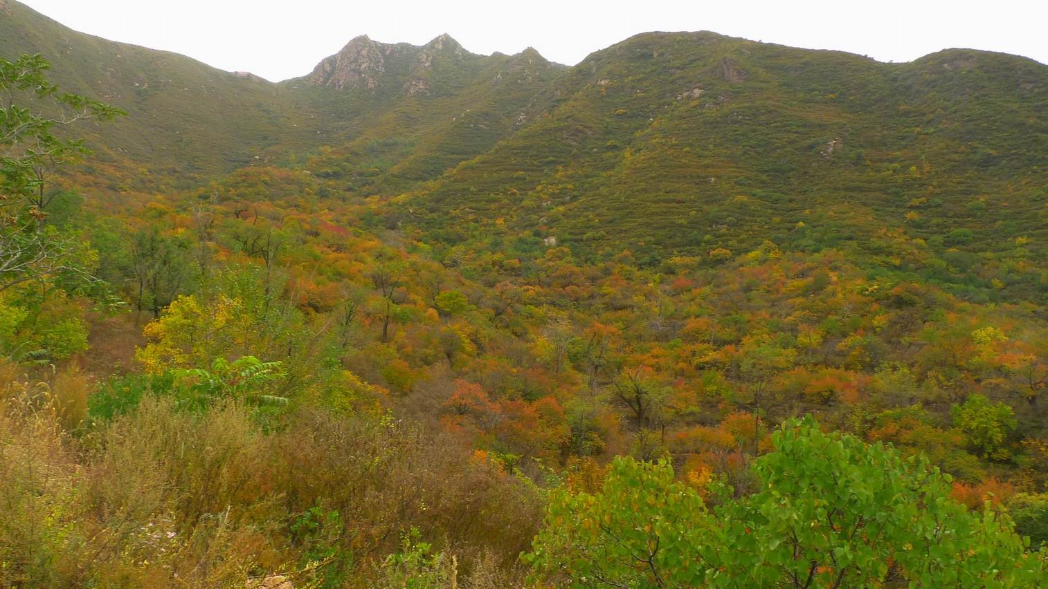 调整大小 调整大小 P1070774.JPG