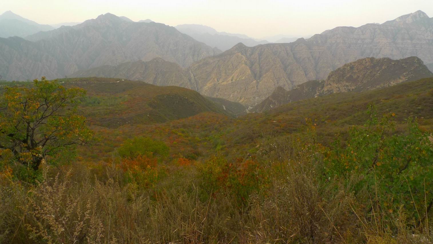 调整大小 调整大小 P1070776.JPG