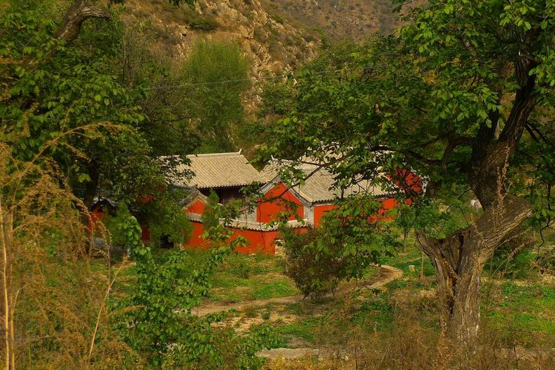 调整大小 调整大小 调整大小 P1070786.JPG