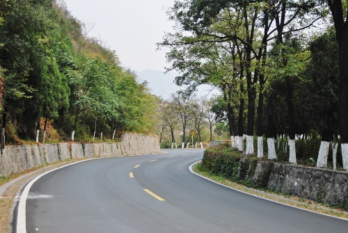 不知道哪位仁兄在路边吐了