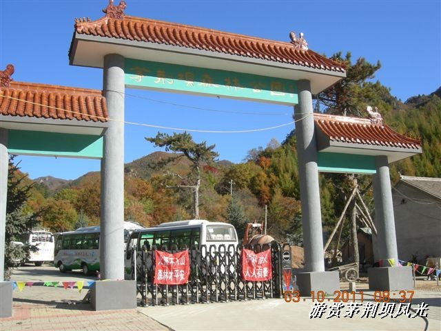 BigBull_DSCN0111 (3).JPG