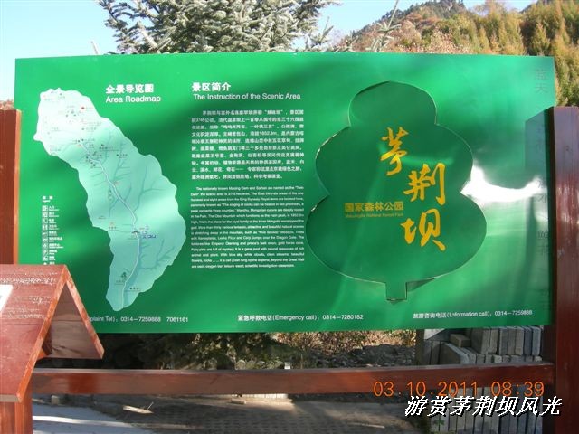 BigBull_DSCN0114 (3).JPG