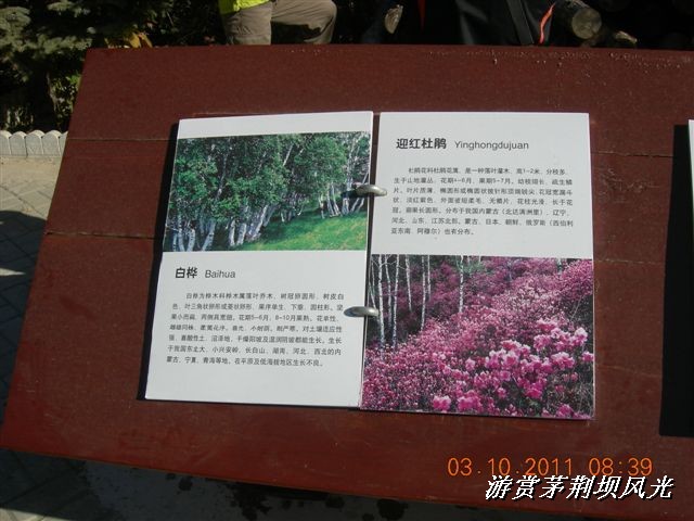 BigBull_DSCN0118 (3).JPG