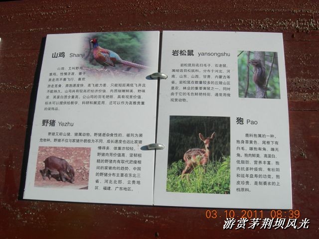 BigBull_DSCN0115 (3).JPG