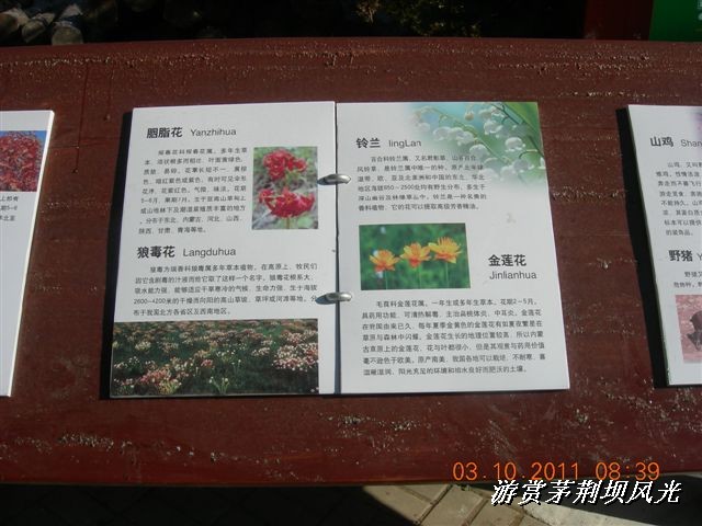 BigBull_DSCN0116 (3).JPG