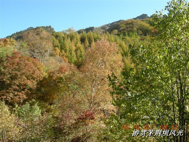 BigBull_DSCN0123 (3).JPG