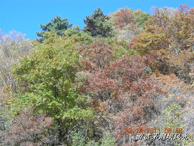 BigBull_DSCN0128 (3).JPG