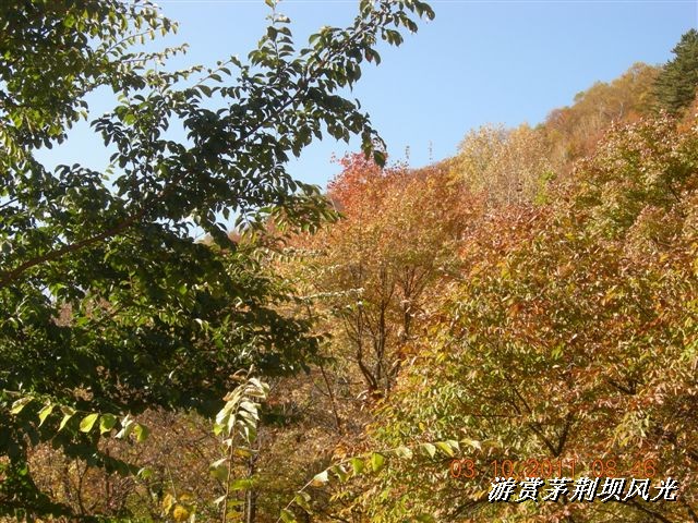 BigBull_DSCN0129 (3).JPG