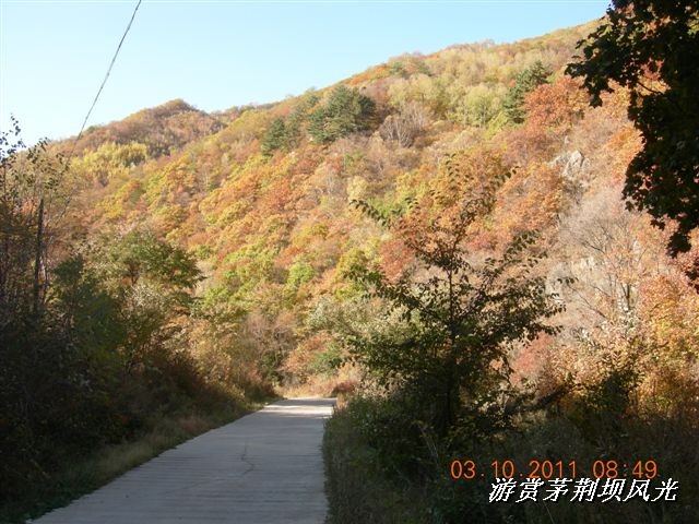 BigBull_DSCN0135 (1).JPG