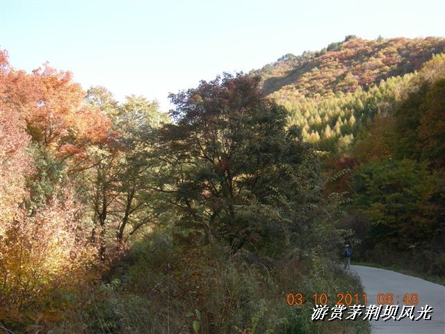 BigBull_DSCN0133 (3).JPG