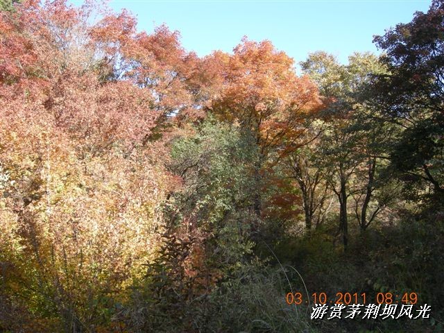 BigBull_DSCN0134 (3).JPG