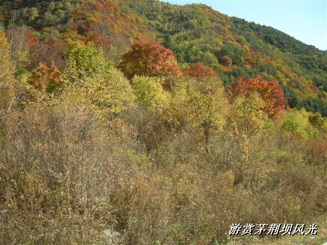 BigBull_DSCN0196 (1).JPG