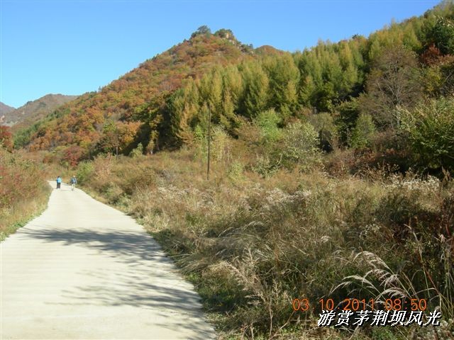 BigBull_DSCN0136 (3).JPG