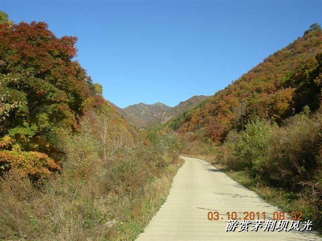 BigBull_DSCN0140 (3).JPG