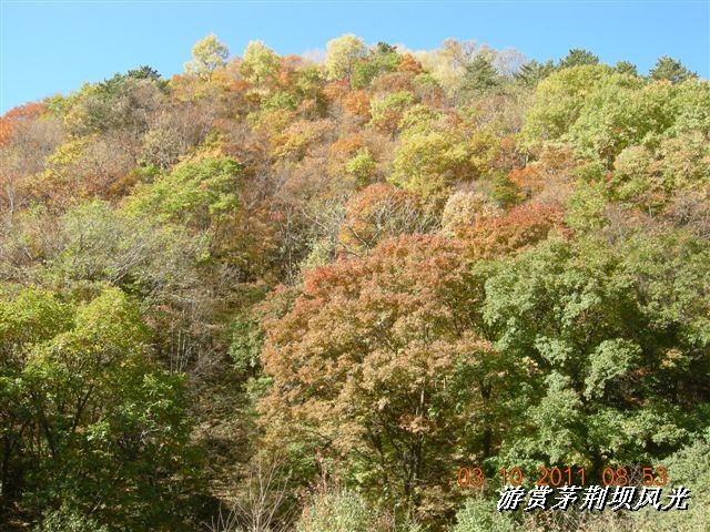 BigBull_DSCN0144 (3).JPG