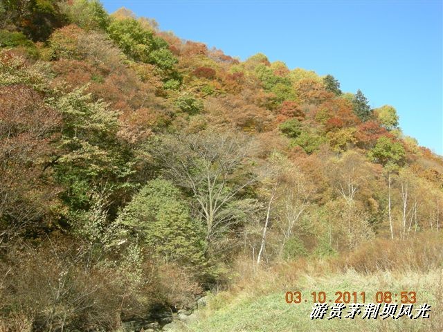 BigBull_DSCN0145 (3).JPG