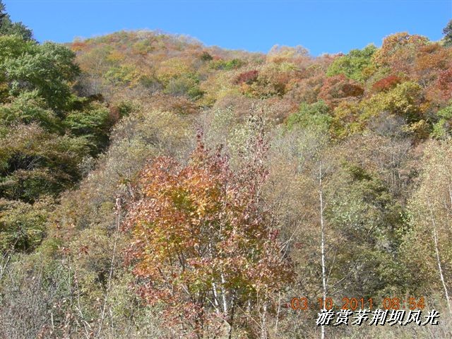 BigBull_DSCN0146 (3).JPG