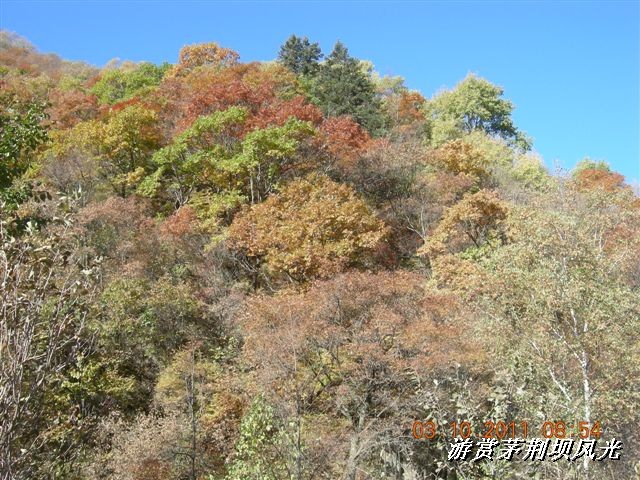 BigBull_DSCN0147 (3).JPG