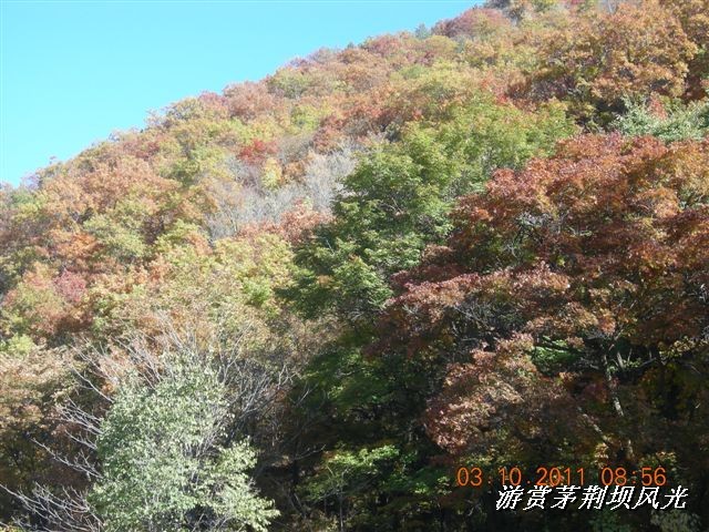 BigBull_DSCN0152 (3).JPG