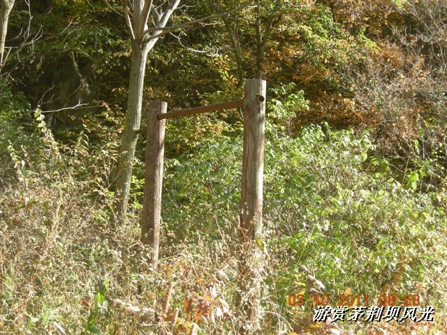 BigBull_DSCN0154 (1).JPG