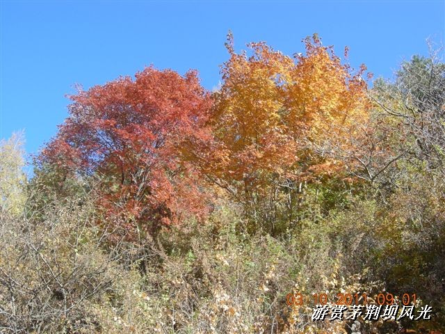 BigBull_DSCN0157 (1).JPG