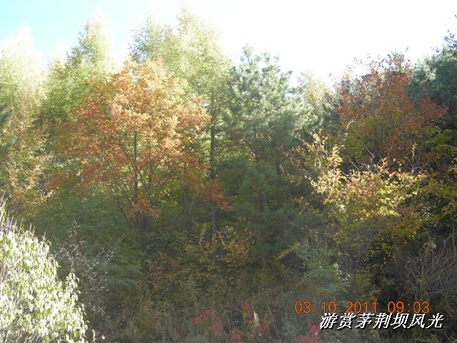 BigBull_DSCN0159 (1).JPG