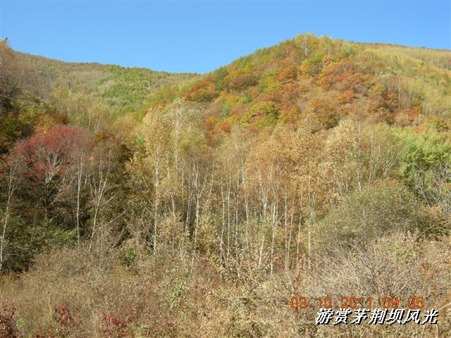 BigBull_DSCN0161 (1).JPG