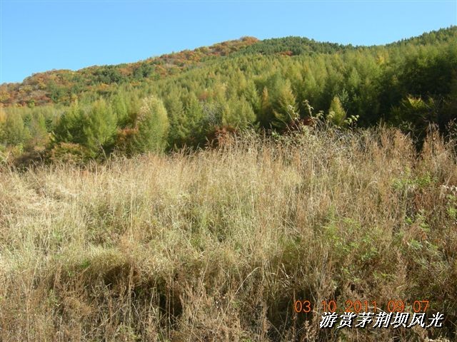 BigBull_DSCN0165 (1).JPG