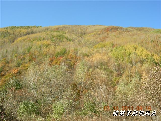 BigBull_DSCN0167 (1).JPG