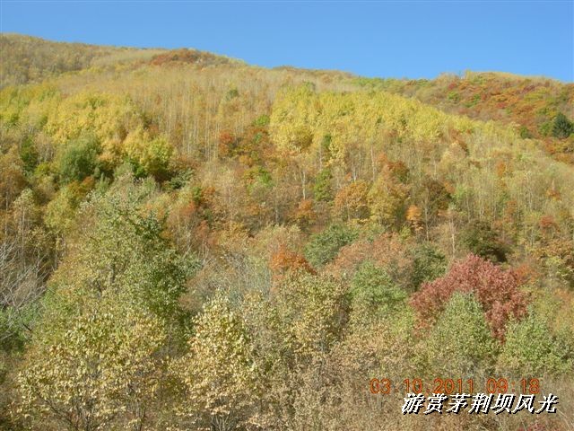 BigBull_DSCN0168 (1).JPG