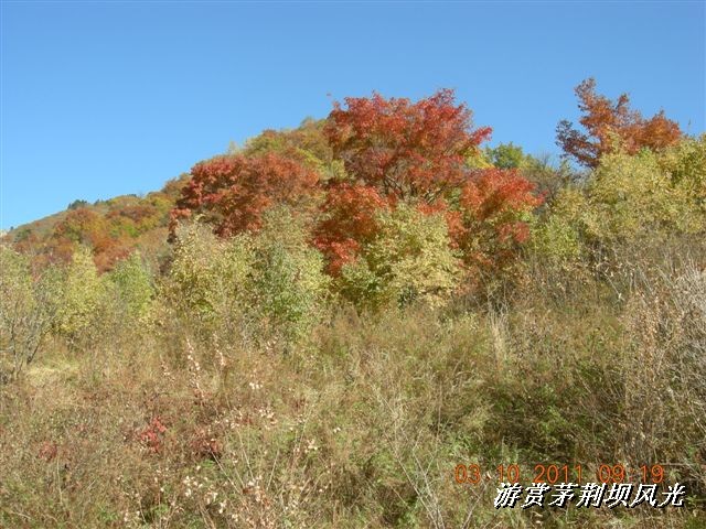 BigBull_DSCN0169 (1).JPG