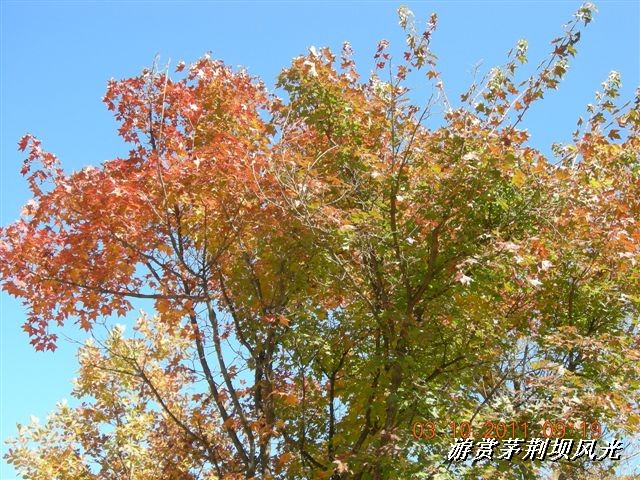 BigBull_DSCN0170 (1).JPG