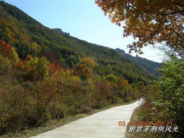 BigBull_DSCN0171 (1).JPG