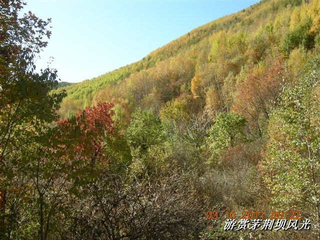 BigBull_DSCN0172 (1).JPG