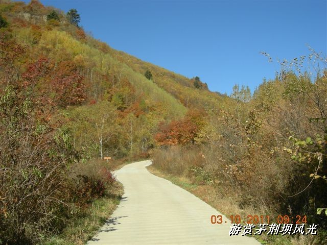 BigBull_DSCN0173 (1).JPG