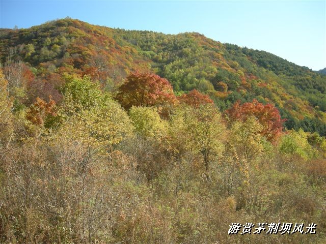 BigBull_DSCN0195 (1).JPG