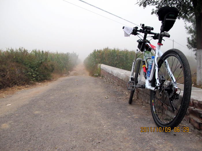 好久没见过这么一大片玉米地了，眼前好像看到八路军藏在里面，等啊等鬼子来 ... ... ... ... ... ... ... . ...