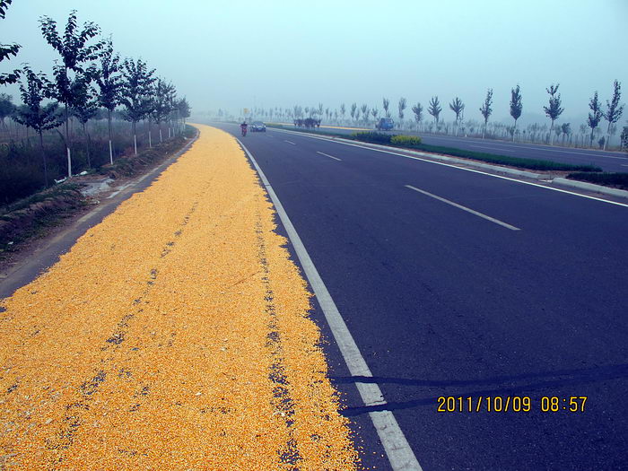 路况虽好，可农民伯伯伤不起，好在汽车不多