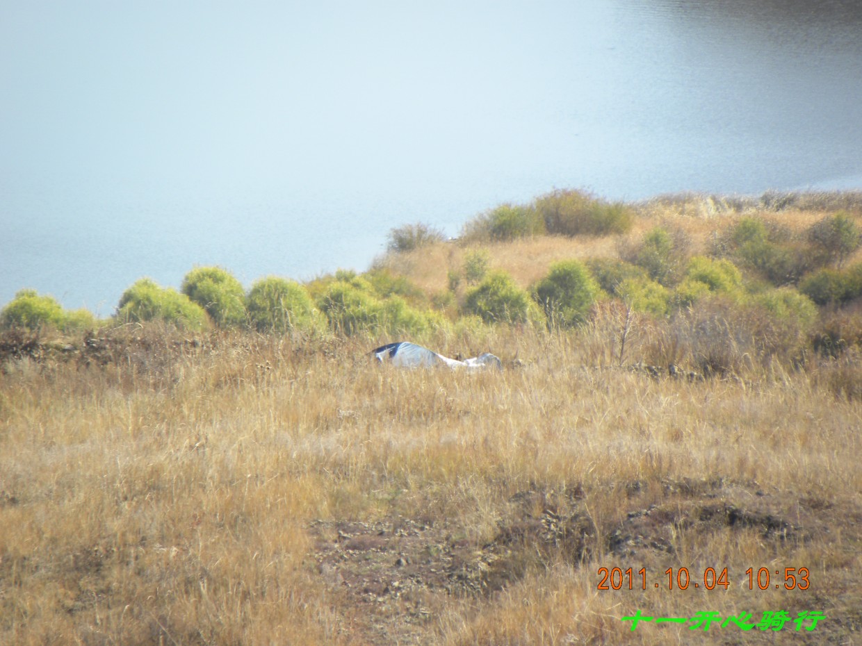 敢情汽车的主人在那呢
