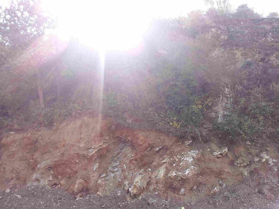 2011-10-15 11.05.04.jpg