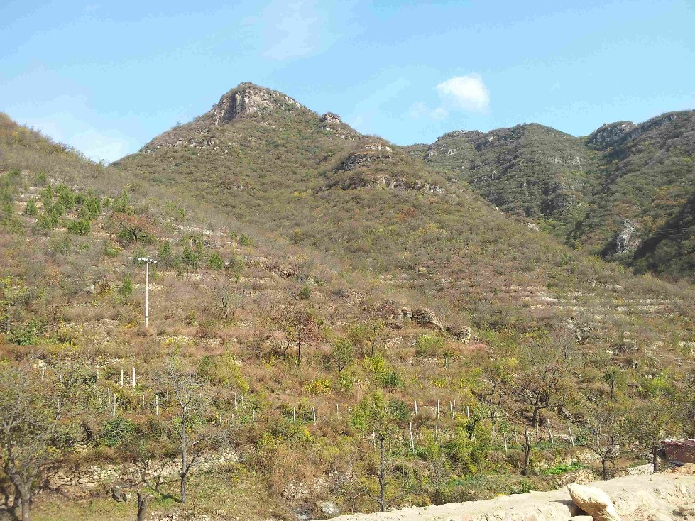 2011-10-15 11.05.14.jpg